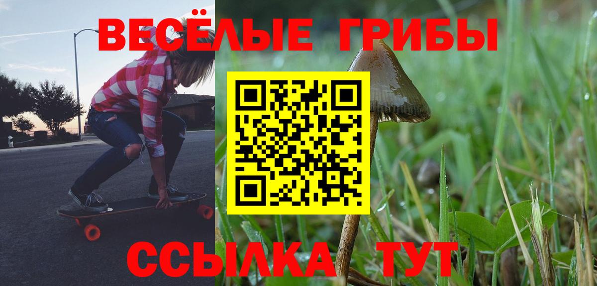 Кинель  Псилоцибиновые грибы GOLDEN TEACHER  Вход с VPN 